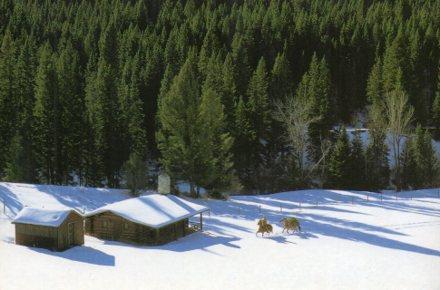 POSTAL PV07219: Publicidad Marlboro World. Caballos sobre la nieve