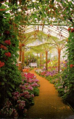 POSTAL PV07211: Bruxelles, Les Serres Royales de Laeken