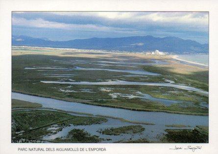 POSTAL PV07056: Vista aeria Reserva Natural les Llaunes, Parc Natural dels Aiguamolls de L'Emporda