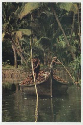 POSTAL PV07029: On back waters, Kerala. Photo V.B. Anand