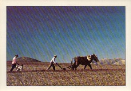 POSTAL PV07112: Campesinos en el campo. Foto Alain Baudry. Nº 4 España