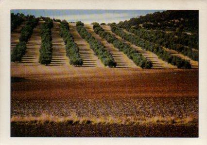 POSTAL PV07113: Foto Alain Baudry. Nº 3 España