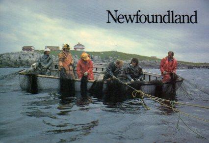 POSTAL PV07124: Hauling a cod trap neat Greenspond, Newfoundland