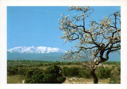 POSTAL PV07116: Vista del Canigo, Alt Emporda