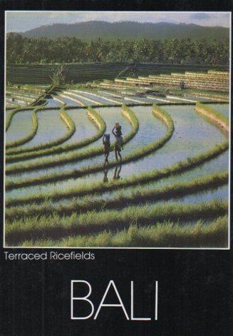 POSTAL PV07085: Terraced Ricefields, Bali