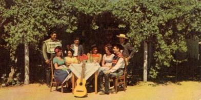 POSTAL PV07329: Escenas tipica de campo, Chile