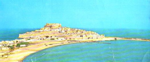 POSTAL PV07396: Vista panoramica de Peñiscola