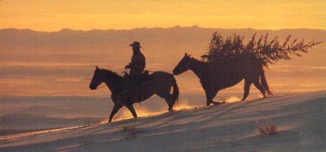 POSTAL PV07371: Publicidad Marlboro world vaquero cabalgando 