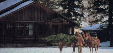 POSTAL PV07374: Publicidad Marlboro world vaquero cargando un arbol sobre un caballo