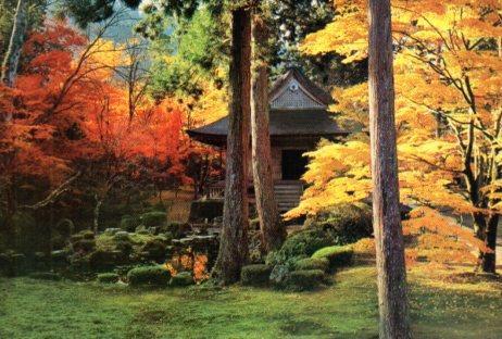 POSTAL PV07294: Garden of Sanzan-in, Japan