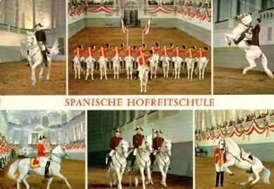 POSTAL PV07617: Spanische Hofreitschule, Wien
