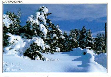 POSTAL PV07636: Arboles nevados en La Molina