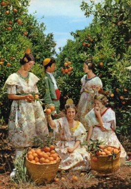 POSTAL PV07698: Trajes regionales y recogida de naranjas en Valencia