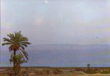POSTAL PV07518: The Dead Sea, Jericho