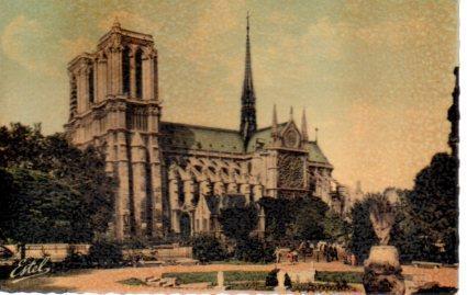POSTAL PV08259: Notre-Dame vue du Square Viviani, Paris