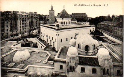 POSTAL PV08246: Le Mosquee, Paris