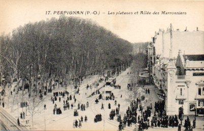 POSTAL PV08197: Les platanes et Allee des Marronniers, Perpignan