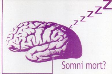 POSTAL PV07766: Exposicio Somni mort per Enric Llevat, Universitat Rovira i Virgili 2003
