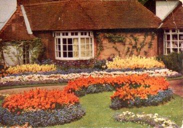 POSTAL PV07962: Garden Studies, card appearing in the larger packets of DE RESZKE Cigarettes