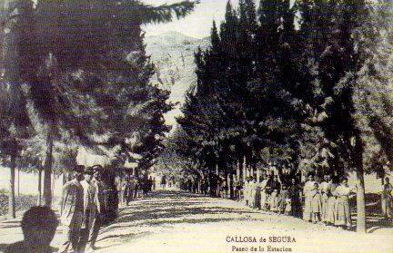 POSTAL PV07903: Paseo de la Estacion en Callosa de Segura, Alicante (ver descripcion)