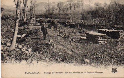POSTAL PV08621: Paisaje de invierno tala de arboles en el Mauso Florenza, Puigcerda