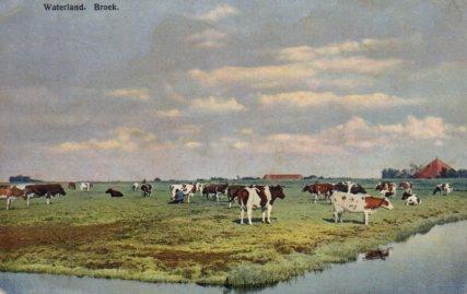 POSTAL PV08619: Waterland. Broek