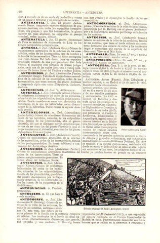 LAMINA V29071: Foto y dibujo de Pedro Antequera Azpiri