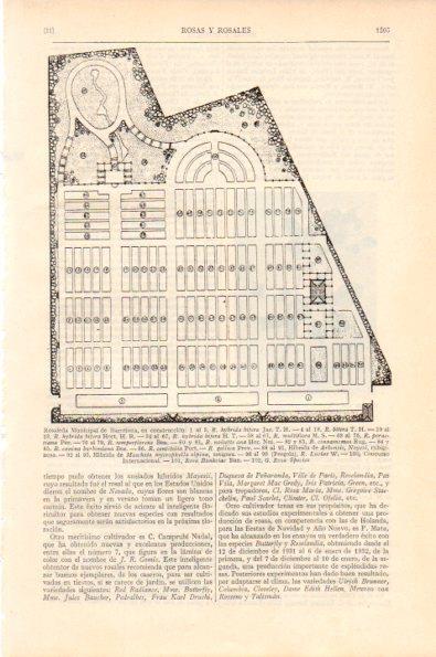 LAMINA V29008: Rosaleda Municipal de Barcelona en construccion