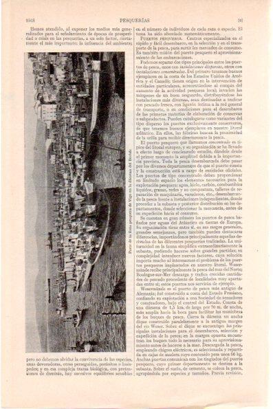 LAMINA V28991: Flota pesquera de Vigo en la darsena del Berbes