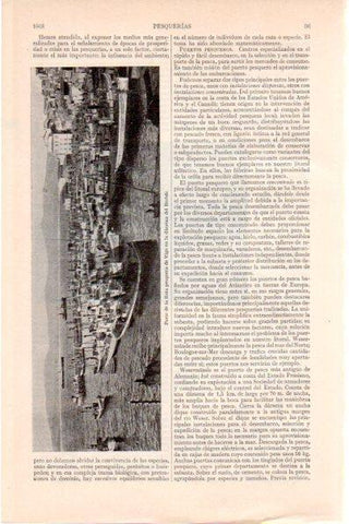 LAMINA V28991: Flota pesquera de Vigo en la darsena del Berbes