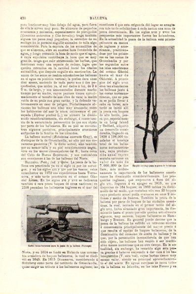 LAMINA V29178: Harpon noruego para pesca de la ballena