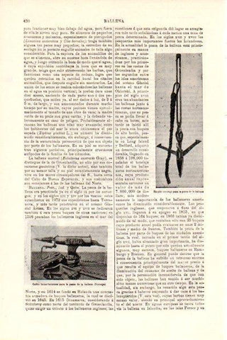 LAMINA V29178: Harpon noruego para pesca de la ballena