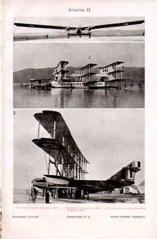 LAMINA V29213: Triplano de la Aeronautica naval britanica 1919