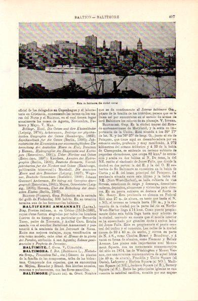 LAMINA V29174: Vista de Baltimore, Estados Unidos