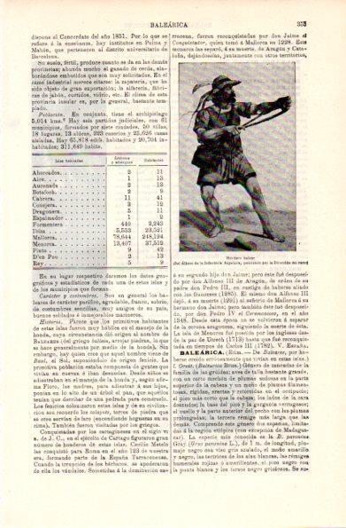 LAMINA V29168: Hondero balear