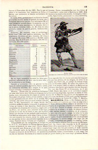 LAMINA V29168: Hondero balear