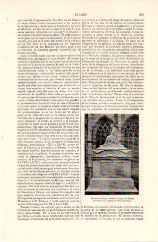 LAMINA V29170: Sepulcro de Balmes en Catedral de Vic