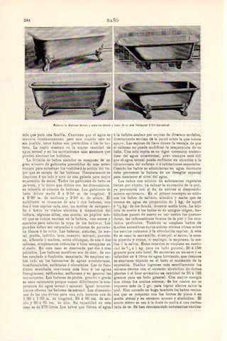 LAMINA V28666: Bañeras de Verdaguer y Cia, Barcelona