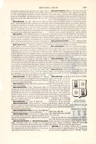 LAMINA V28803: Escudo de Belorado, Burgos