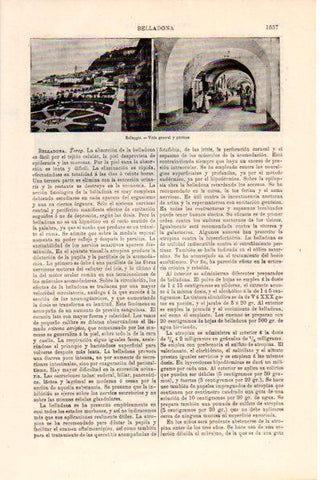 LAMINA V28805: Vista general y porticos de Bellaggio