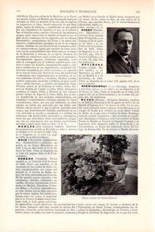 LAMINA V28851: Flores por Vicente Romero