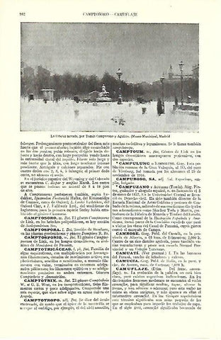 LAMINA ESPASA 39590: La Cibeles nevada, por Tomas Campuzano y Aguirre
