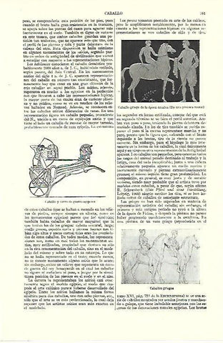 LAMINA ESPASA 39575: Caballo en el arte egipcio y griego