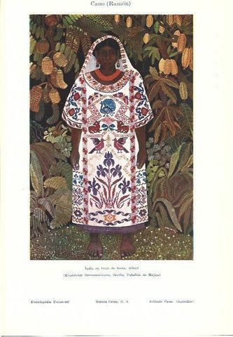LAMINA ESPASA 39594: India en traje de fiesta, por Ramon Cano