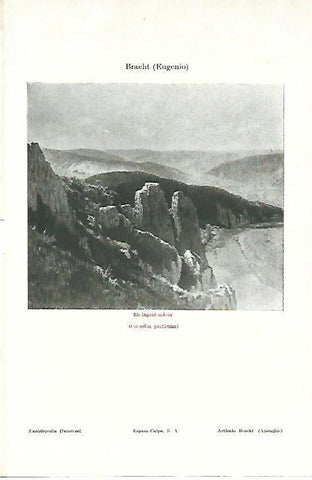 LAMINA ESPASA 39552: Rheingrafenstein, por E. Bracht