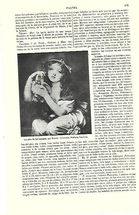 LAMINA ESPASA 39732: La niña de las palomas, por Greuze 