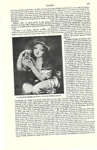 LAMINA ESPASA 39732: La niña de las palomas, por Greuze 