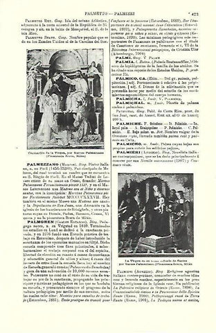 LAMINA ESPASA 39721: Coronacion de la Virgen y La Virgen en su trono, por Palmezzano
