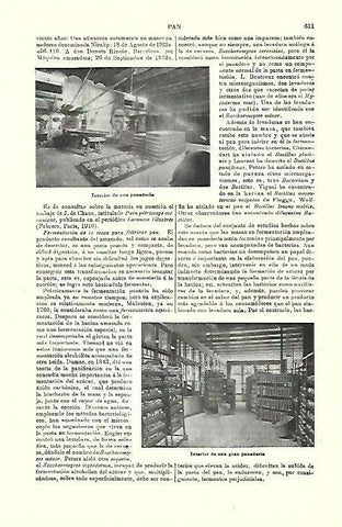 LAMINA ESPASA 39763: Interior de panaderia