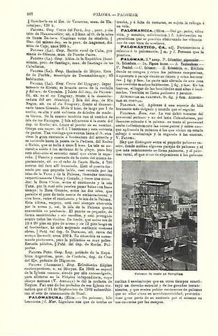 LAMINA ESPASA 39738: Palomar en Barcelona